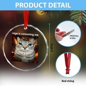 Rage Is Consuming Me Cat Crystal Glass Ornament Funny Weird Humor Silly Cat Meme - Print Your Wear
