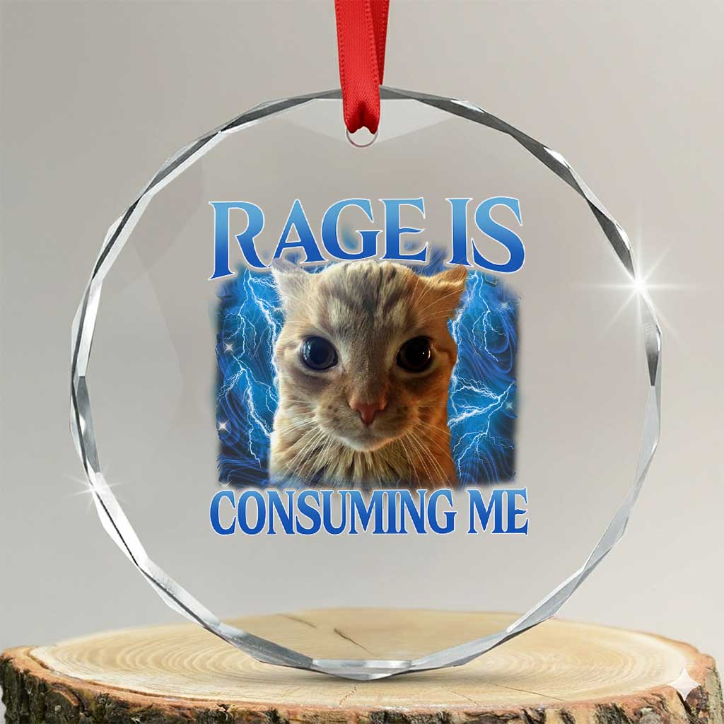 Rage Is Consuming Me Cat Meme Crystal Glass Ornament Funny Weird Humor Cat Face Bootleg TS10 Transparent Glass 3'' Circle Print Your Wear