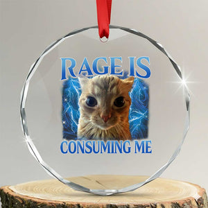 Rage Is Consuming Me Cat Meme Crystal Glass Ornament Funny Weird Humor Cat Face Bootleg TS10 Transparent Glass 3'' Circle Print Your Wear