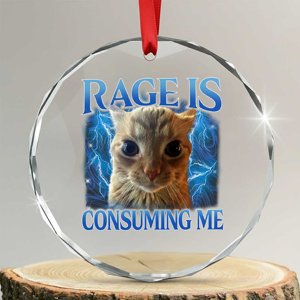 Rage Is Consuming Me Cat Meme Crystal Glass Ornament Funny Weird Humor Cat Face Bootleg TS10 Transparent Glass 3'' Circle Print Your Wear
