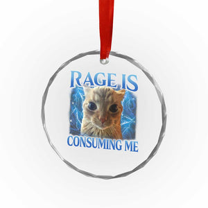 Rage Is Consuming Me Cat Meme Crystal Glass Ornament Funny Weird Humor Cat Face Bootleg - Print Your Wear