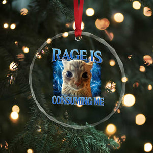 Rage Is Consuming Me Cat Meme Crystal Glass Ornament Funny Weird Humor Cat Face Bootleg TS10 Print Your Wear