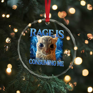 Rage Is Consuming Me Cat Meme Crystal Glass Ornament Funny Weird Humor Cat Face Bootleg - Print Your Wear