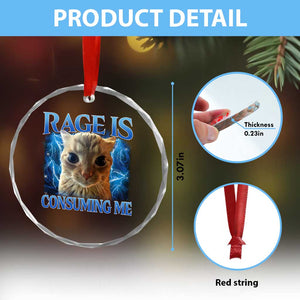 Rage Is Consuming Me Cat Meme Crystal Glass Ornament Funny Weird Humor Cat Face Bootleg - Print Your Wear