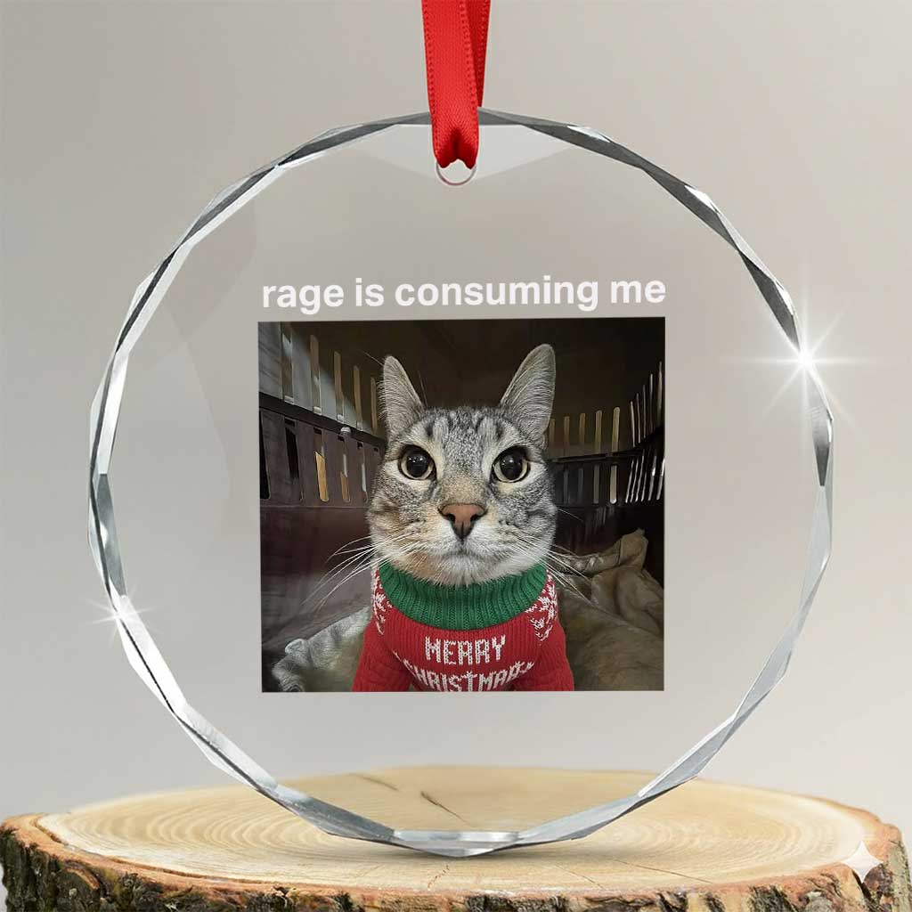 Rage Is Consuming Me Christmas Crystal Glass Ornament Funny Silly Staring Cat Meme Xmas Ugly Sweater TS11 Transparent Glass 3'' Circle Print Your Wear