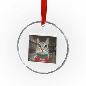 Rage Is Consuming Me Christmas Crystal Glass Ornament Funny Silly Staring Cat Meme Xmas Ugly Sweater TS11 Print Your Wear
