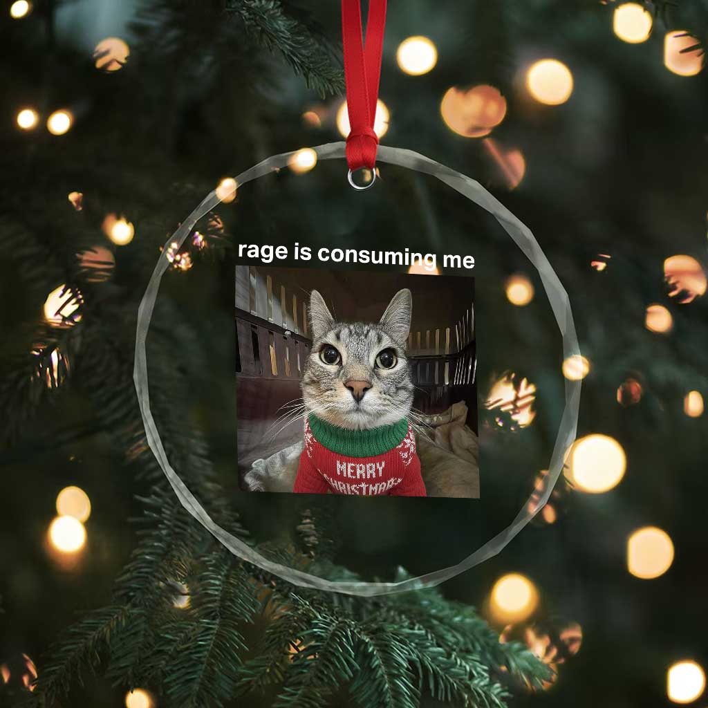 Rage Is Consuming Me Christmas Crystal Glass Ornament Funny Silly Staring Cat Meme Xmas Ugly Sweater TS11 Print Your Wear