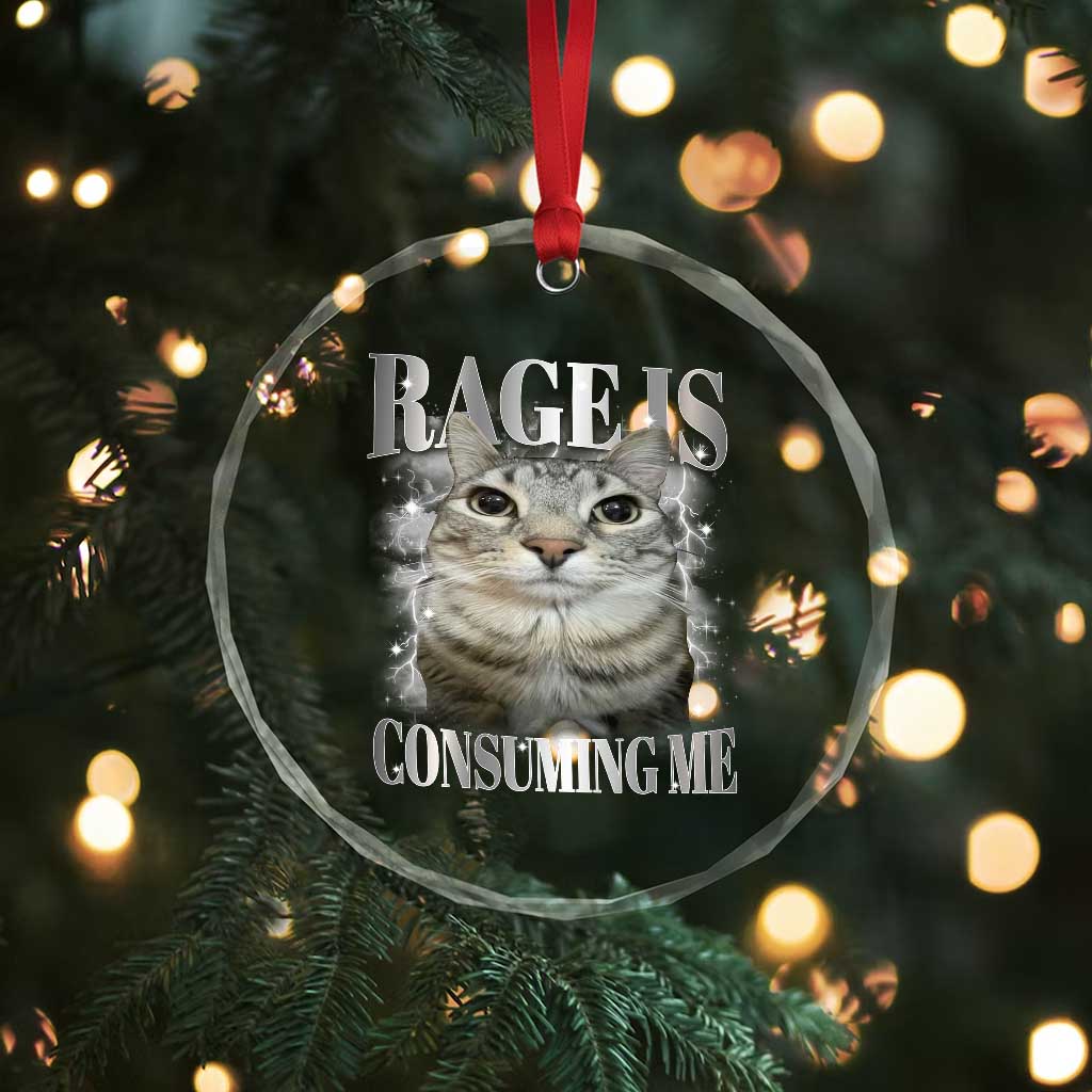 Rage Is Consuming Me Crystal Glass Ornament Funny Silly Cat Memes TS10 Print Your Wear