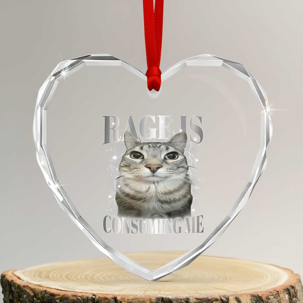 Rage Is Consuming Me Heart Crystal Glass Ornament Funny Silly Cat Memes TS10 Transparent Glass 3'' Heart Print Your Wear