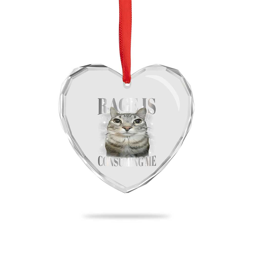 Rage Is Consuming Me Heart Crystal Glass Ornament Funny Silly Cat Memes TS10 Print Your Wear