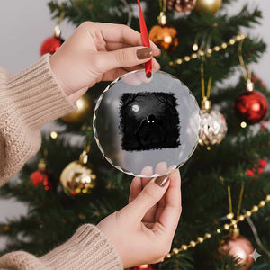 Rake Creepypasta Crystal Glass Ornament Creepy Cryptid Series Cryptozoology Gift Halloween TS10 Print Your Wear