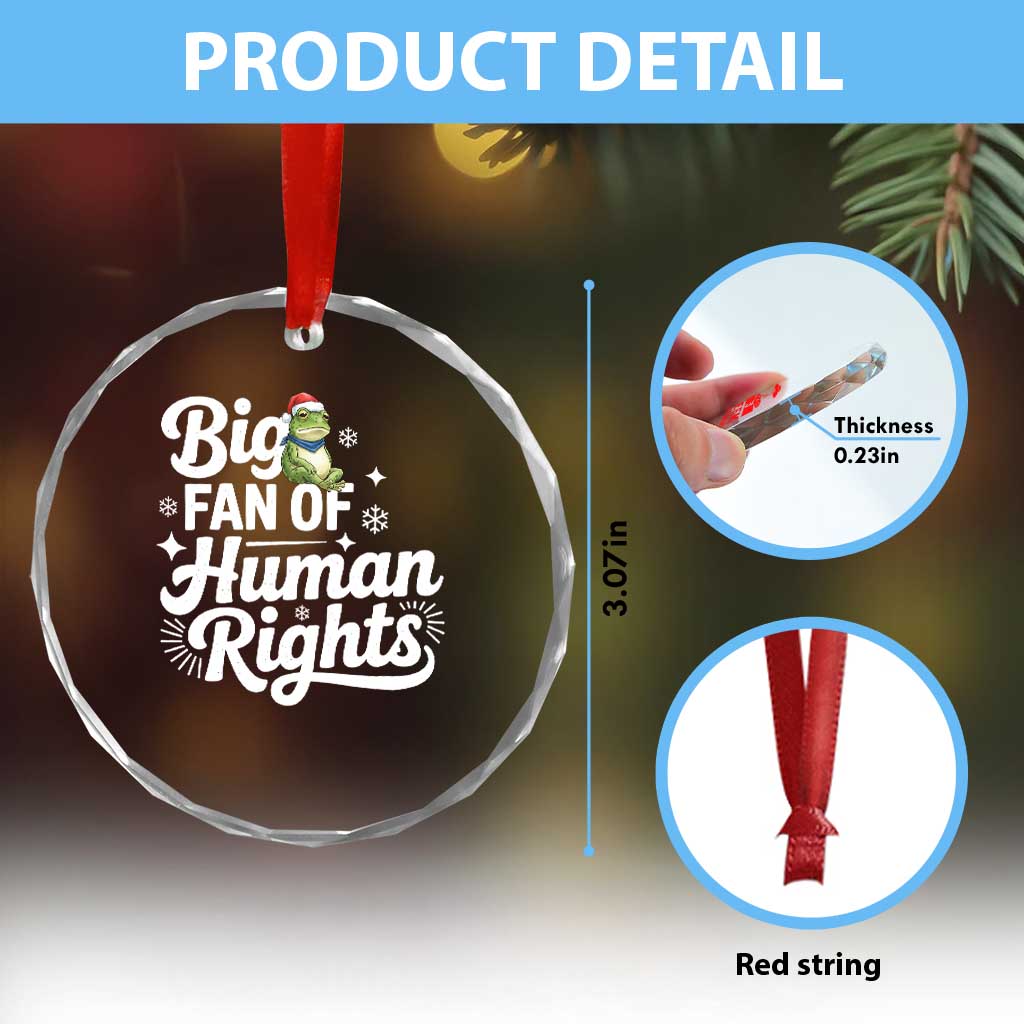 Resist Frog Christmas Crystal Glass Ornament Big Fan Of Human Rights Political Meme TS14 Print Your Wear