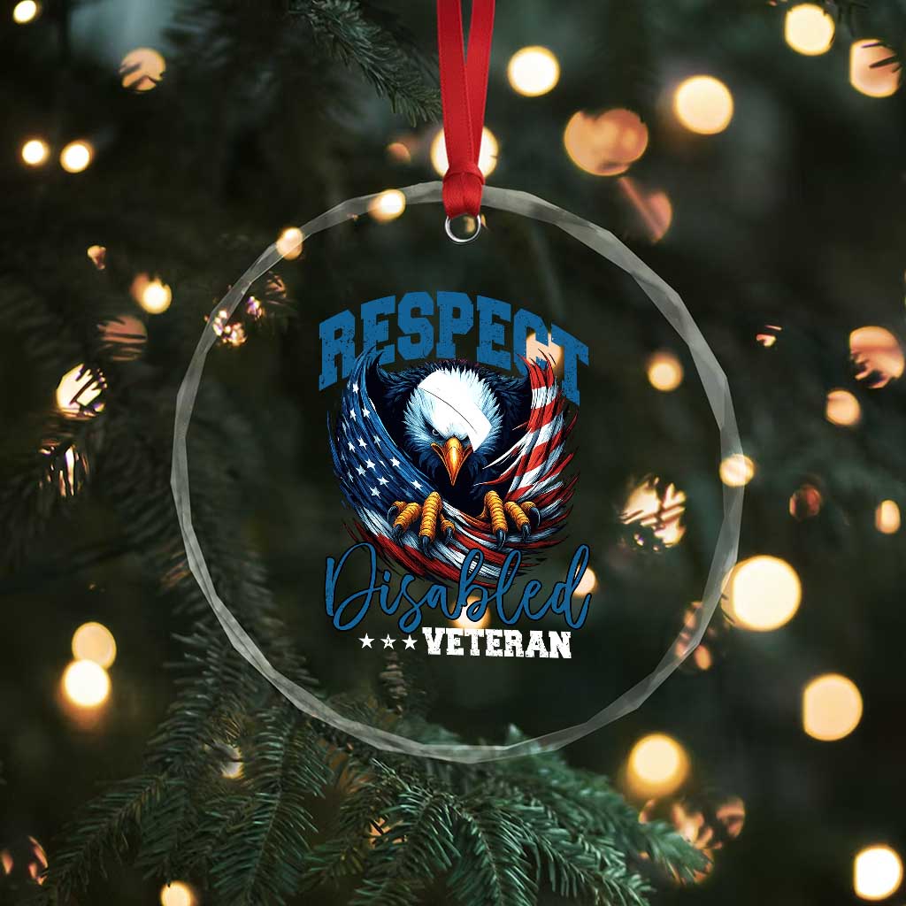 Respect Disabled Veteran Crystal Glass Ornament Military Soldier American Flag Bald Eagle TS11 Print Your Wear