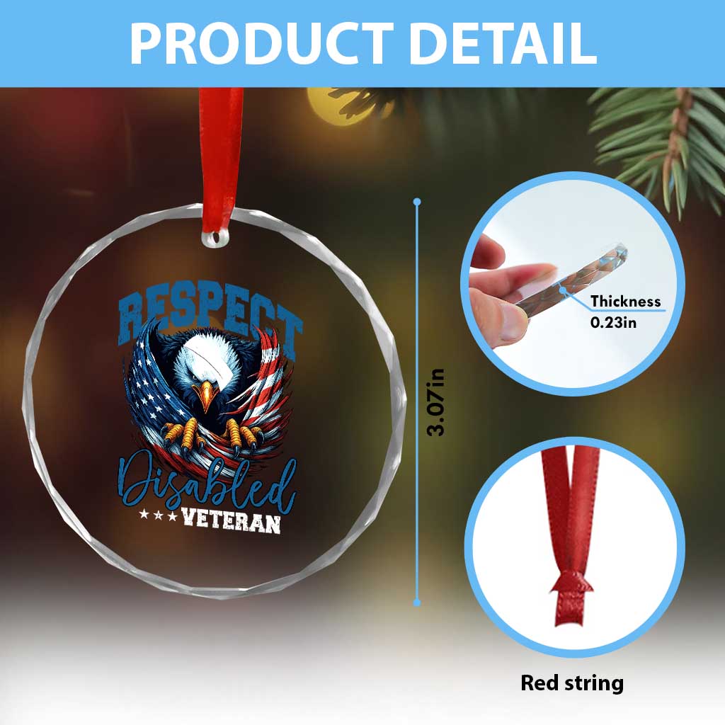 Respect Disabled Veteran Crystal Glass Ornament Military Soldier American Flag Bald Eagle TS11 Print Your Wear