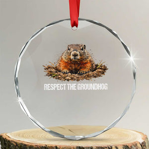 Respect The Groundhog Crystal Glass Ornament Funny Woodchuck TS10 Transparent Glass 3'' Circle Print Your Wear