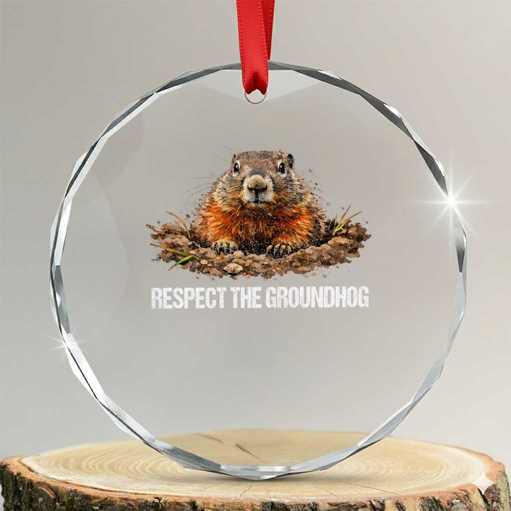 Respect The Groundhog Crystal Glass Ornament Funny Woodchuck TS10 Transparent Glass 3'' Circle Print Your Wear