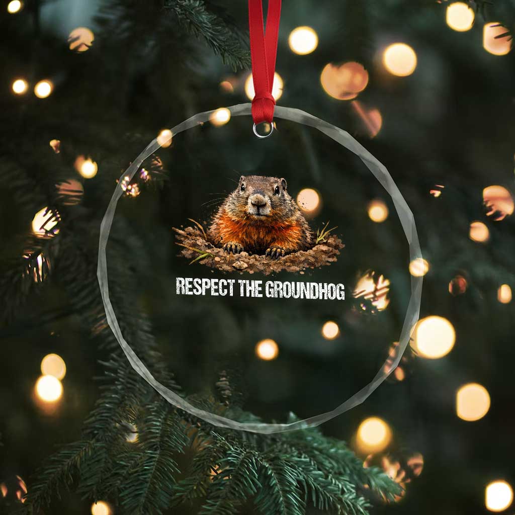 Respect The Groundhog Crystal Glass Ornament Funny Woodchuck TS10 Print Your Wear
