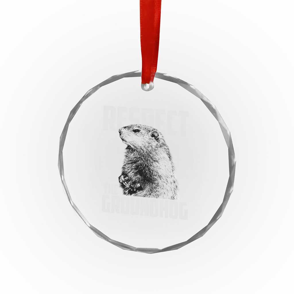 Respect The Groundhog Crystal Glass Ornament Funny Woodchuck Shadow Meteorlogy TS02 Print Your Wear