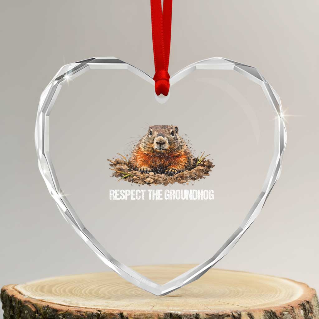 Respect The Groundhog Heart Crystal Glass Ornament Funny Woodchuck TS10 Transparent Glass 3'' Heart Print Your Wear
