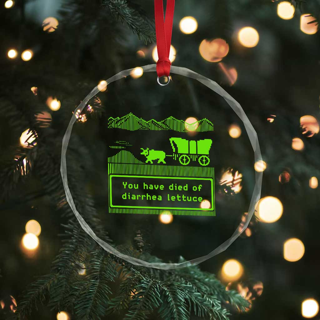 Retro 8-Bit Pixel 80s Game Over Parody Graphic Crystal Glass Ornament You Have Died Of Diarrhea Lettuce