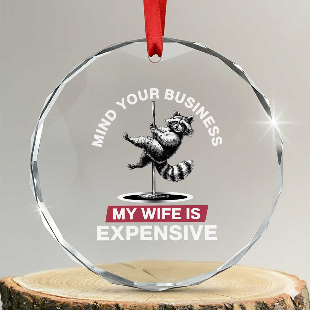 Sarcastic Husband Crystal Glass Ornament Mind Your Business My Wife Is Expensive Raccoon TS10 Transparent Glass 3'' Circle Print Your Wear