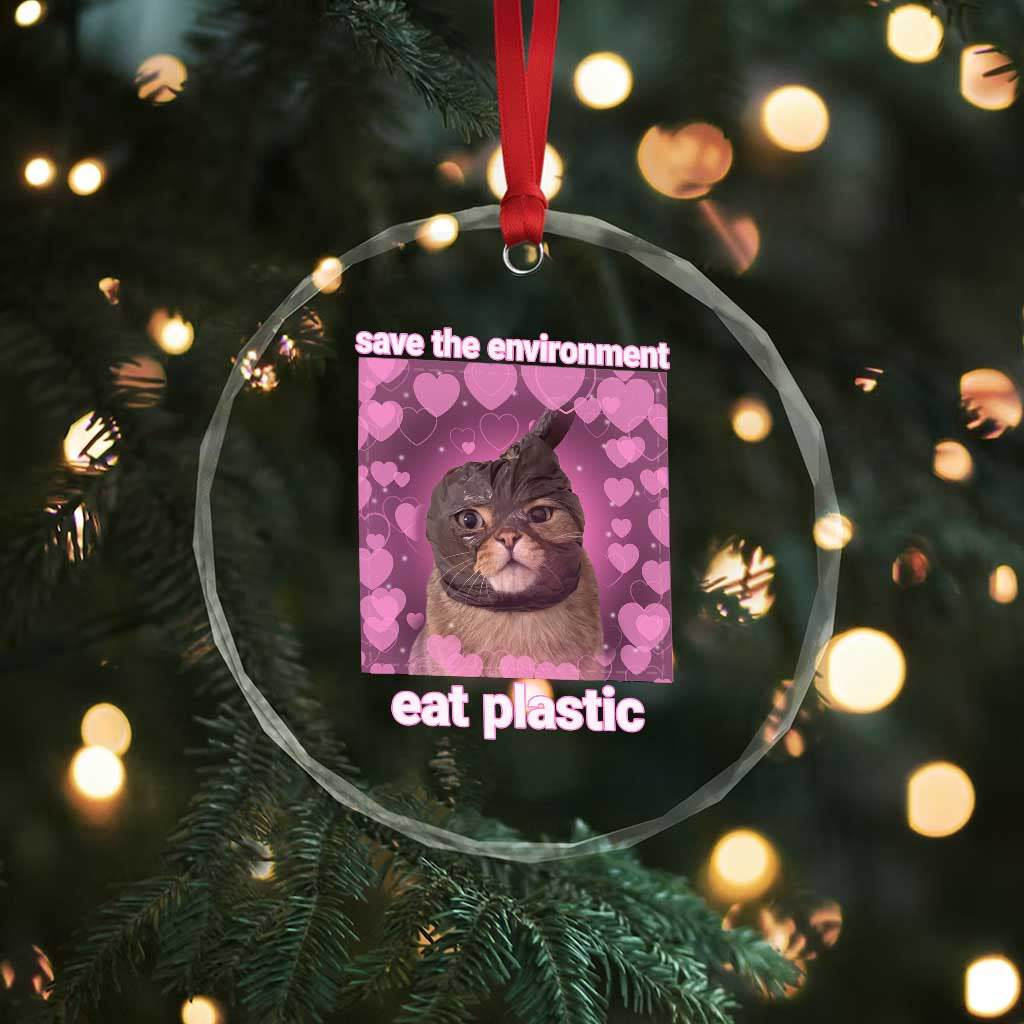 Save The Environment Eat Plastic Crystal Glass Ornament Funny Cute Cat Meme TS14 Print Your Wear