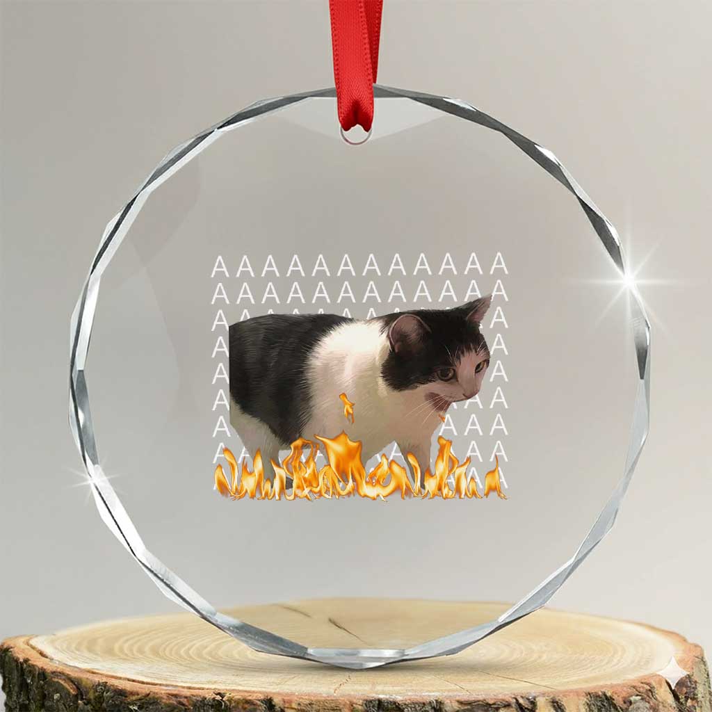 Screaming Cat Meme Crystal Glass Ornament Funny Internet Gen Z Cat Lover TS14 Transparent Glass 3'' Circle Print Your Wear