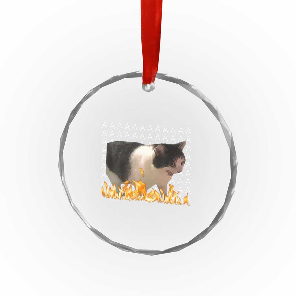 Screaming Cat Meme Crystal Glass Ornament Funny Internet Gen Z Cat Lover TS14 Print Your Wear