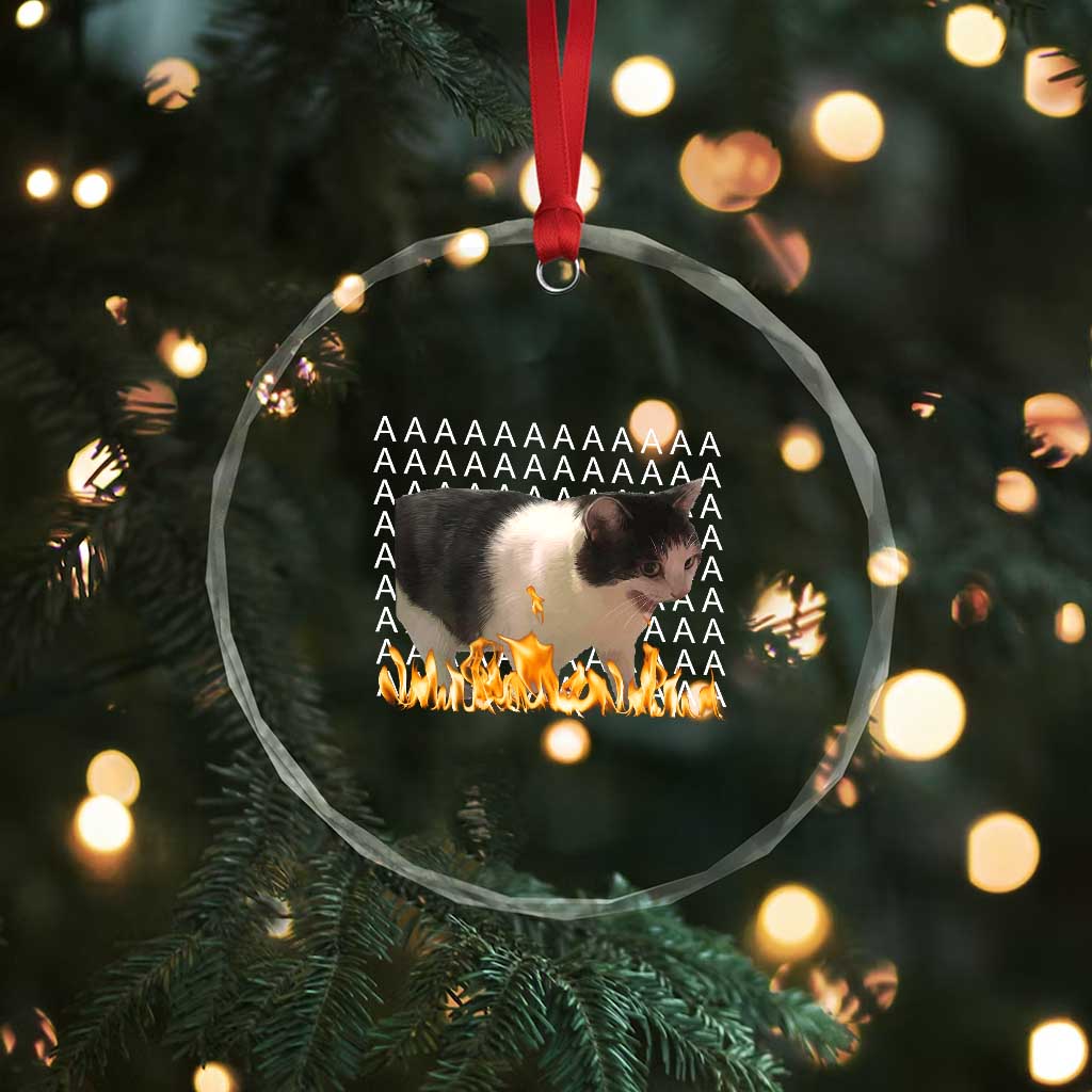 Screaming Cat Meme Crystal Glass Ornament Funny Internet Gen Z Cat Lover TS14 Print Your Wear