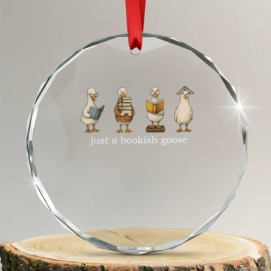 Silly Goose Book Club Crystal Glass Ornament Funny Bookish Book Lover TS14 Transparent Glass 3'' Circle Print Your Wear