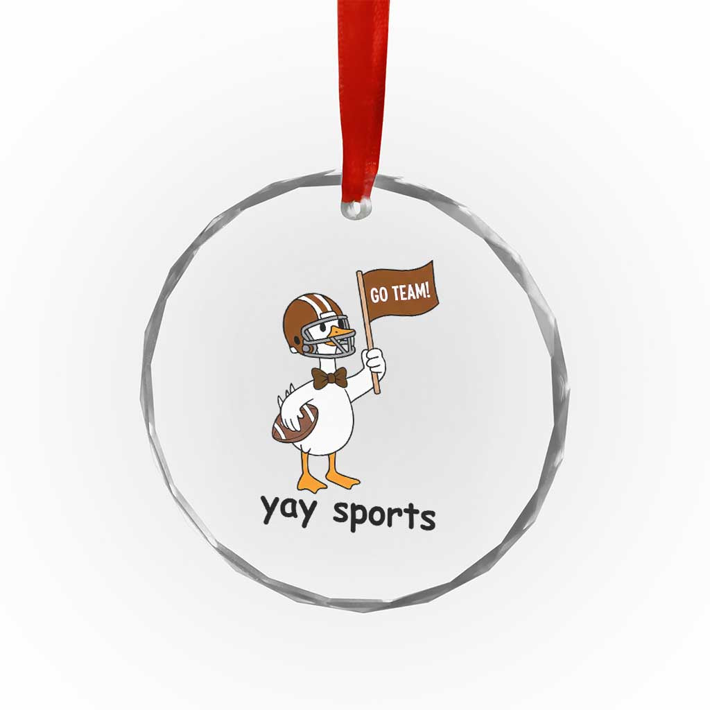 Silly Goose Football Crystal Glass Ornament Yays Sport TS14 Print Your Wear