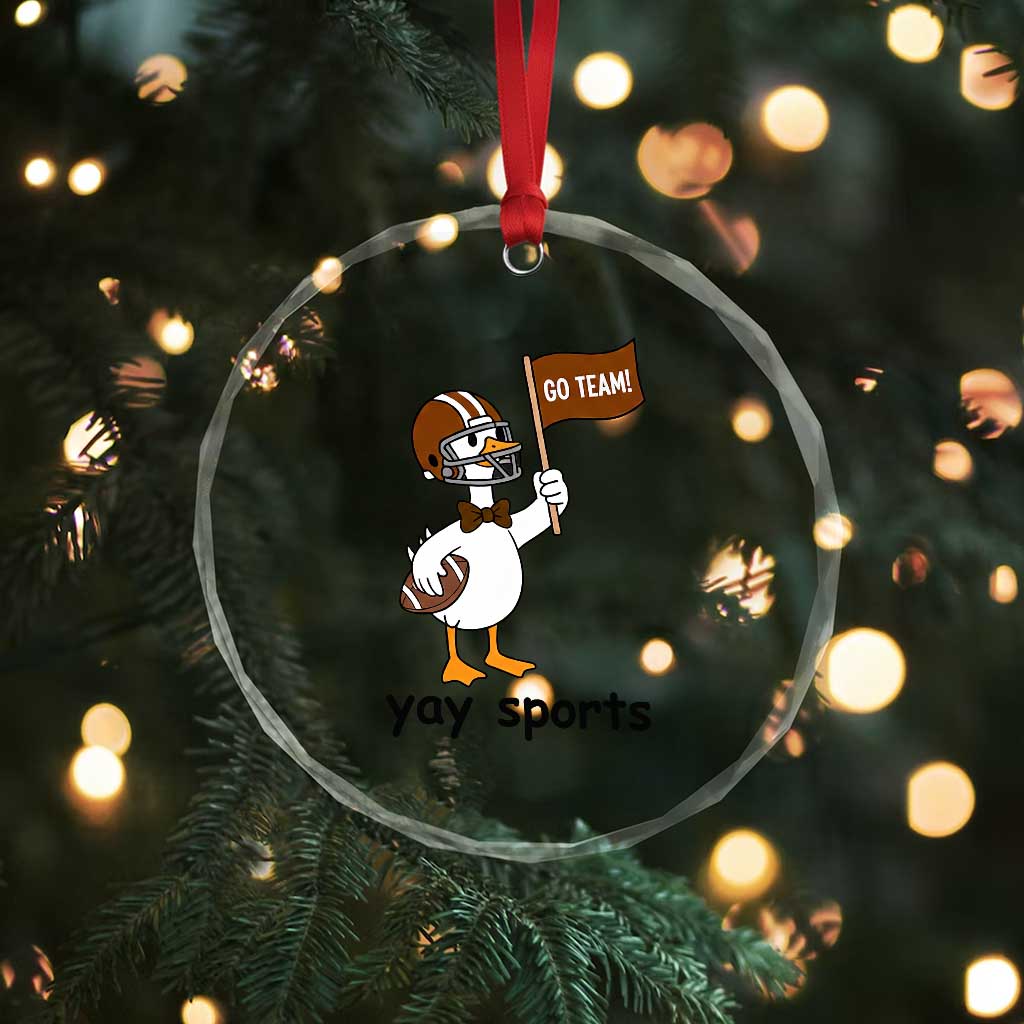 Silly Goose Football Crystal Glass Ornament Yays Sport TS14 Print Your Wear