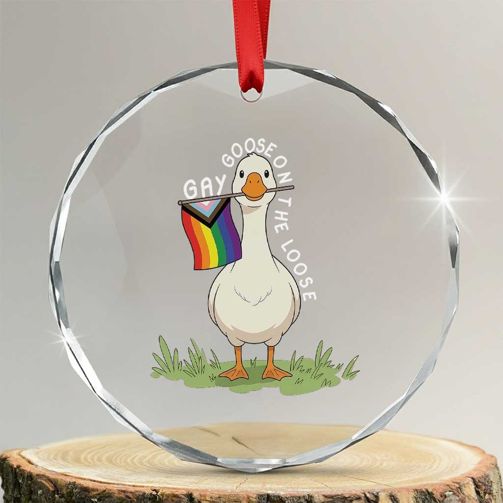 Silly Goose LGBTQ Rainbow Crystal Glass Ornament Funny Gay Pride Month TS14 Transparent Glass 3'' Circle Print Your Wear