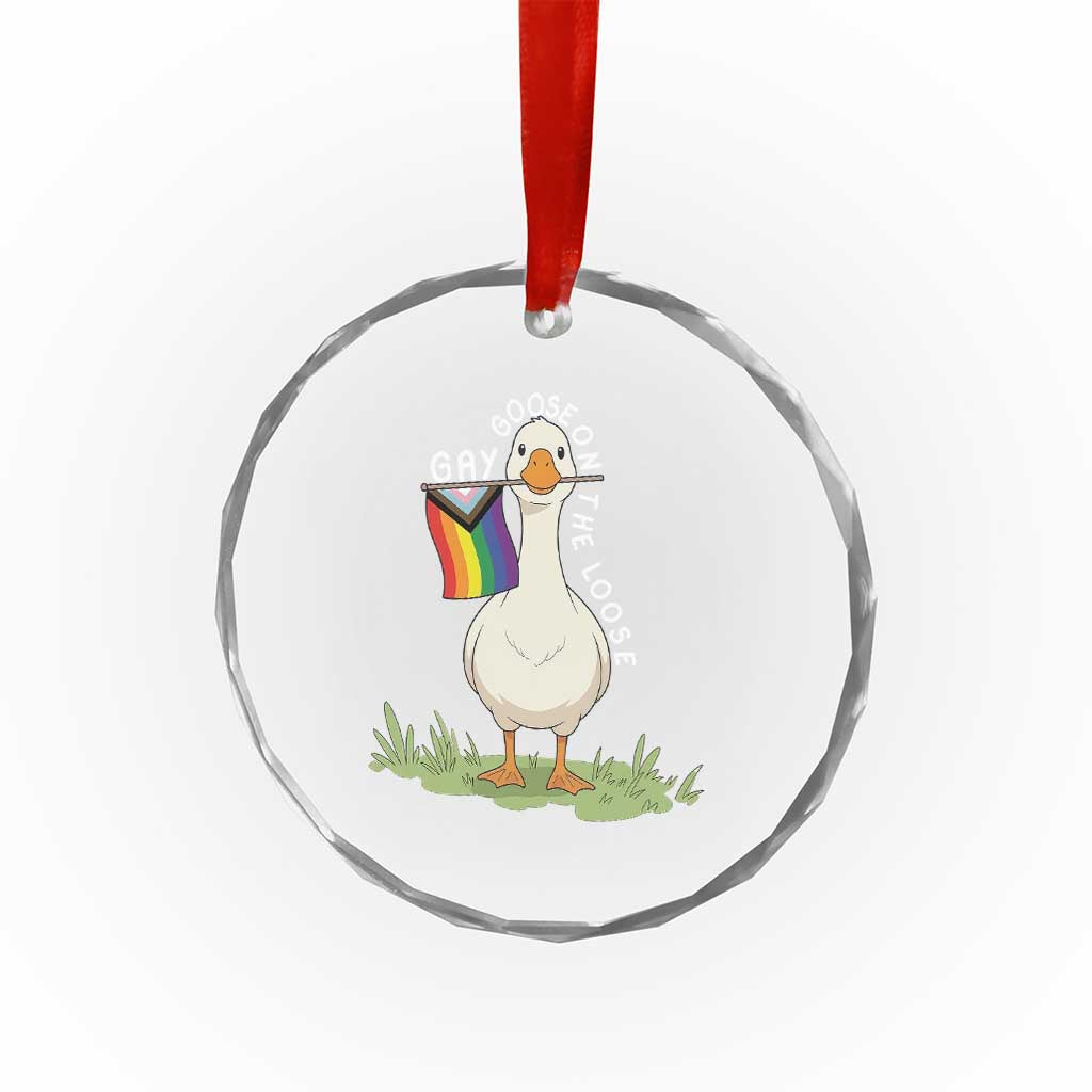 Silly Goose LGBTQ Rainbow Crystal Glass Ornament Funny Gay Pride Month TS14 Print Your Wear