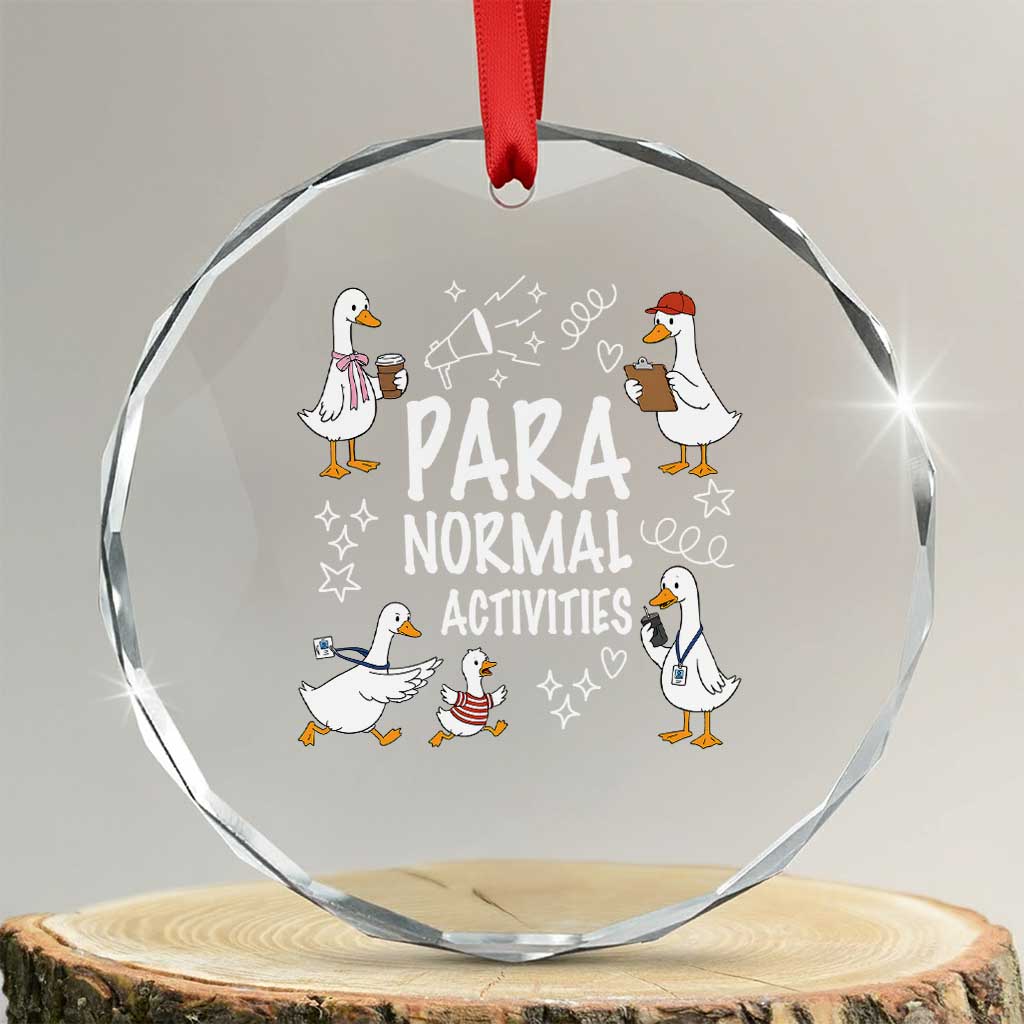 Silly Goose Para Normal Activities Crystal Glass Ornament Funny SPED Teachers Aide Para Normal Activities TS14 Transparent Glass 3'' Circle Print Your Wear
