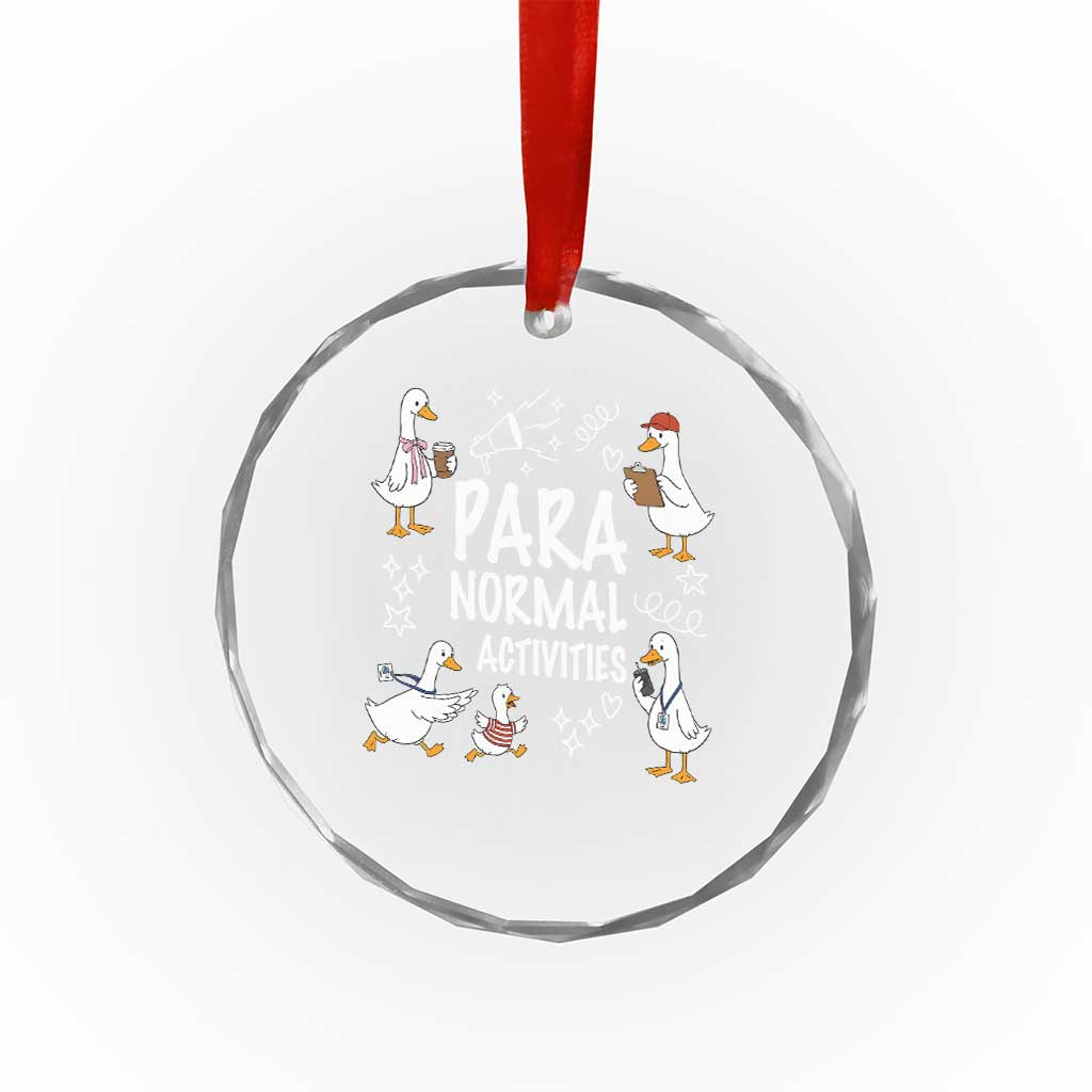 Silly Goose Para Normal Activities Crystal Glass Ornament Funny SPED Teachers Aide Para Normal Activities TS14 Print Your Wear