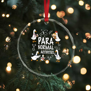 Silly Goose Para Normal Activities Crystal Glass Ornament Funny SPED Teachers Aide Para Normal Activities TS14 Print Your Wear