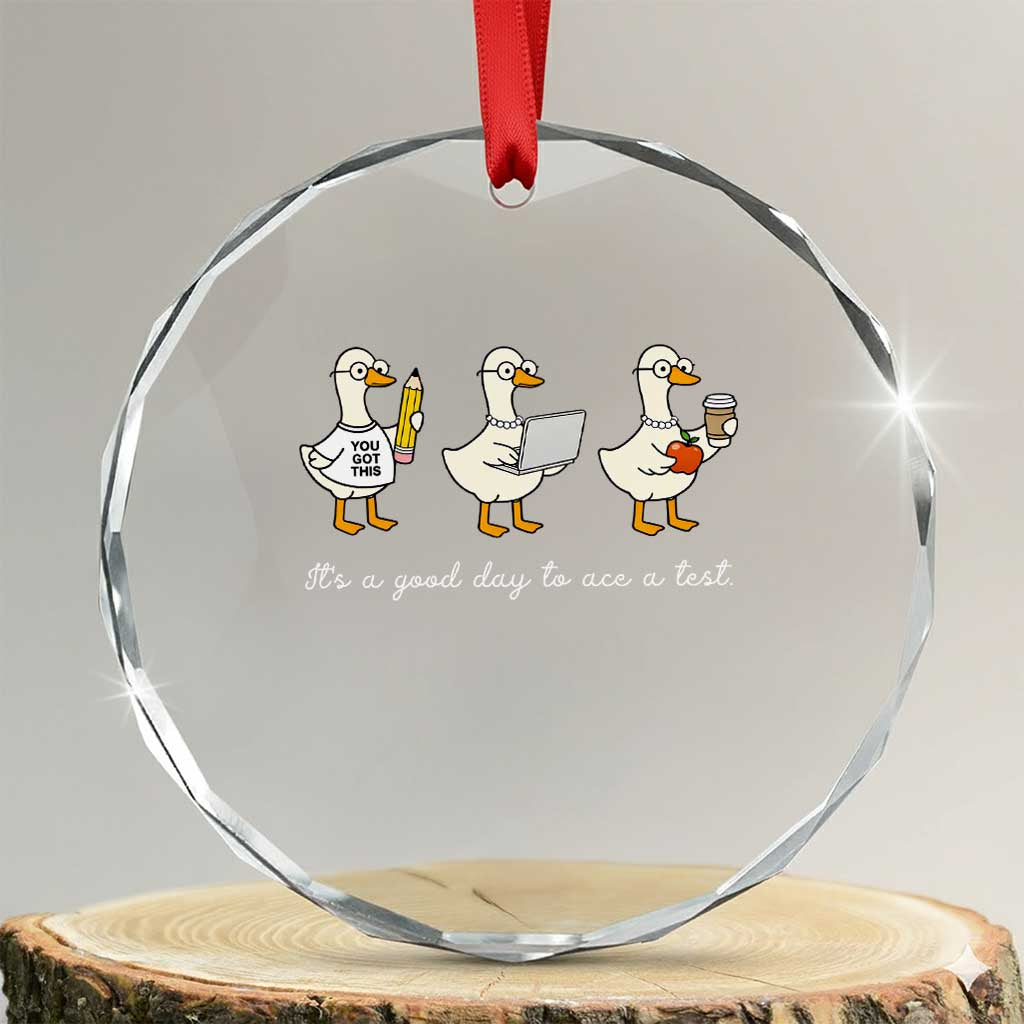 Silly Goose Test Day Crystal Glass Ornament It's A Good Day To Ace A Test Teacher Students TS11 Transparent Glass 3'' Circle Print Your Wear