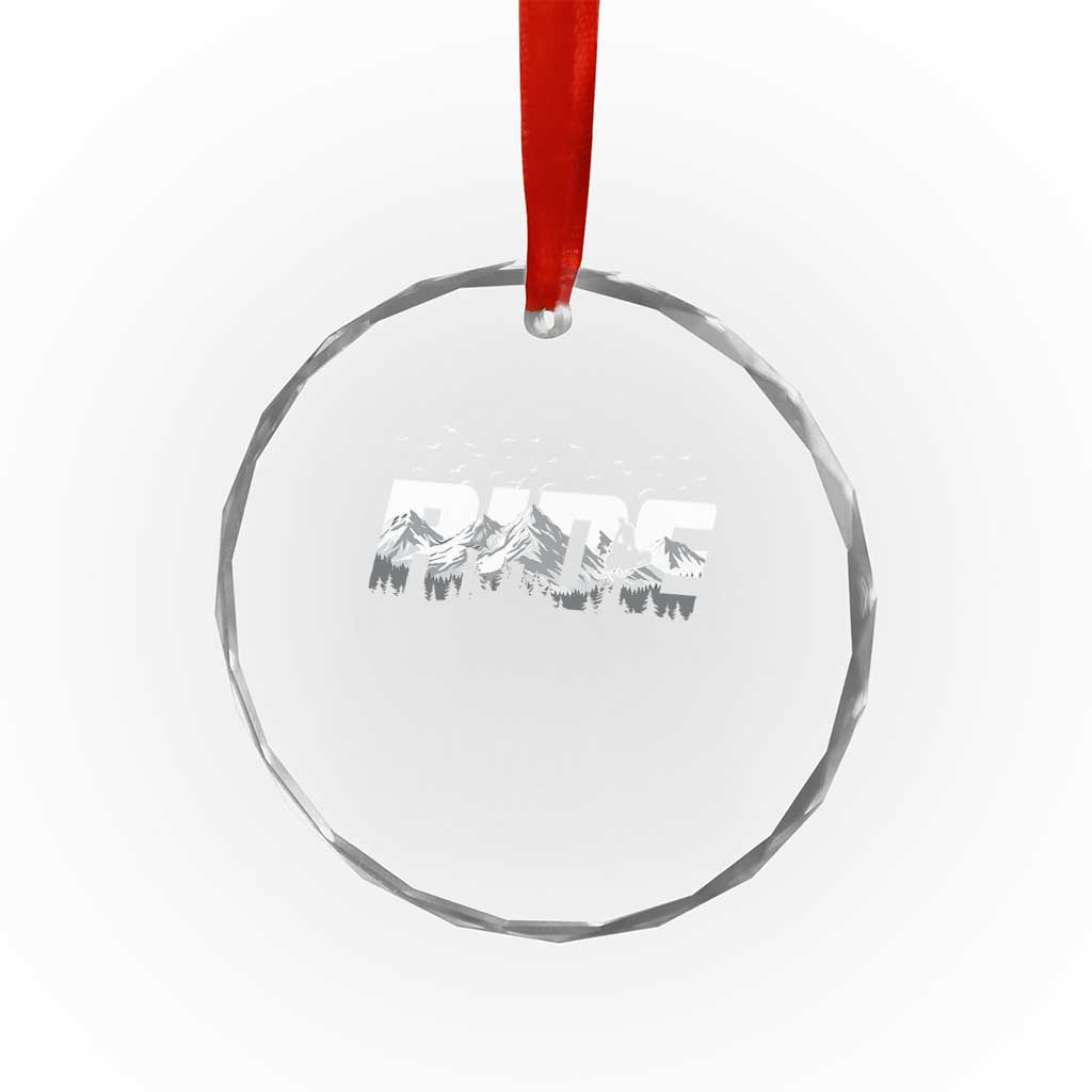 Snowmobile Ride Motor Sled Racing Winter Mountain Sports Fan Crystal Glass Ornament TS11 Print Your Wear
