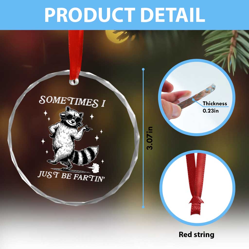 Sometimes I Just Be Fartin Crystal Glass Ornament Funny Raccoon Meme TS14 Print Your Wear