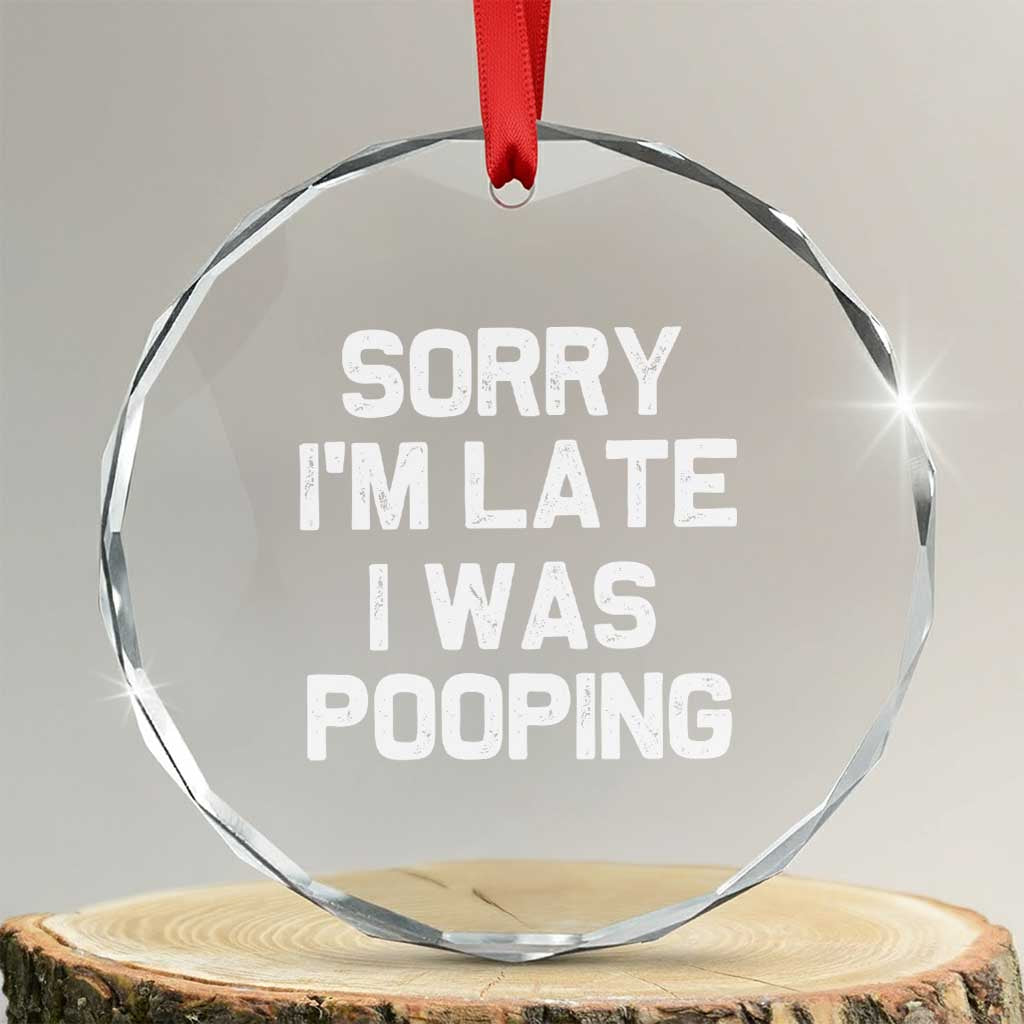 Sorry Im Late I Was Pooping Crystal Glass Ornament Skibidi Brainrot Pooping Meme Graphic TS10 Transparent Glass 3'' Circle Print Your Wear