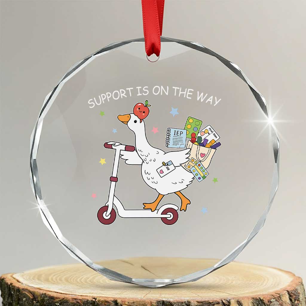 Special Education SPED Teacher Goose Scooter Crystal Glass Ornament Support Is On The Way TS14 Transparent Glass 3'' Circle Print Your Wear