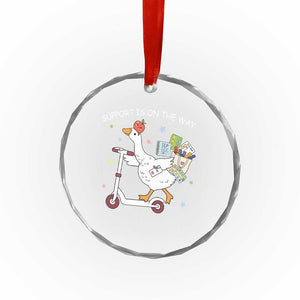 Special Education SPED Teacher Goose Scooter Crystal Glass Ornament Support Is On The Way TS14 Print Your Wear