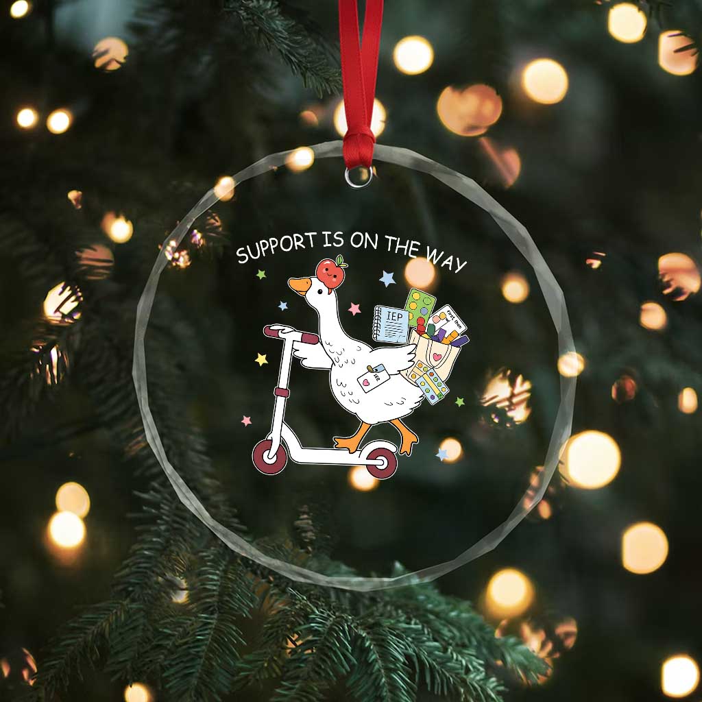 Special Education SPED Teacher Goose Scooter Crystal Glass Ornament Support Is On The Way TS14 Print Your Wear