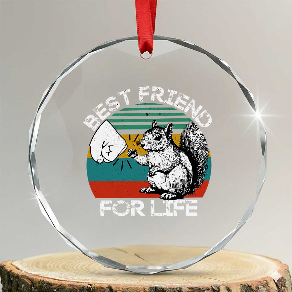 Squirrel Lover Crystal Glass Ornament Funny Vintage Squirrel Gift Best Friend For Life TS10 Transparent Glass 3'' Circle Print Your Wear