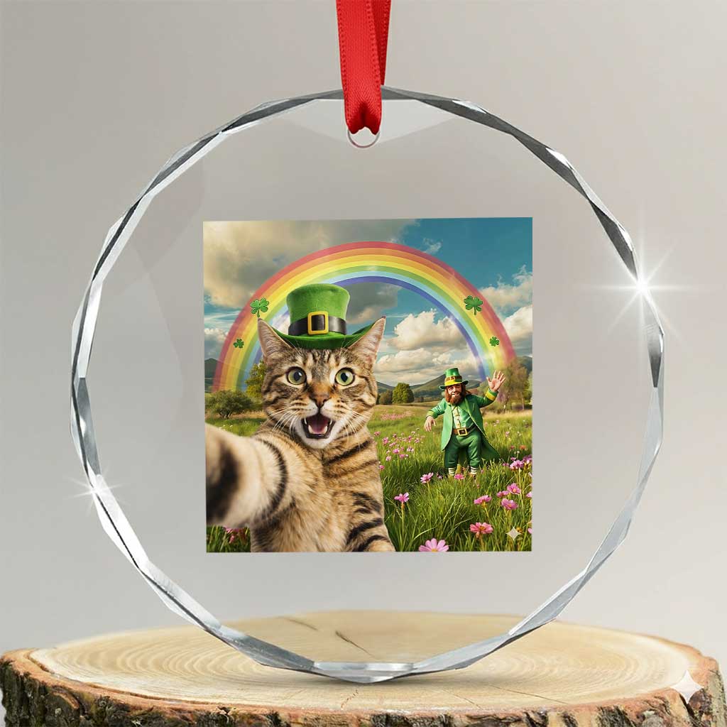 St Patricks Day Cat Selfie with Leprechaun Crystal Glass Ornament TS11 Transparent Glass 3'' Circle Print Your Wear