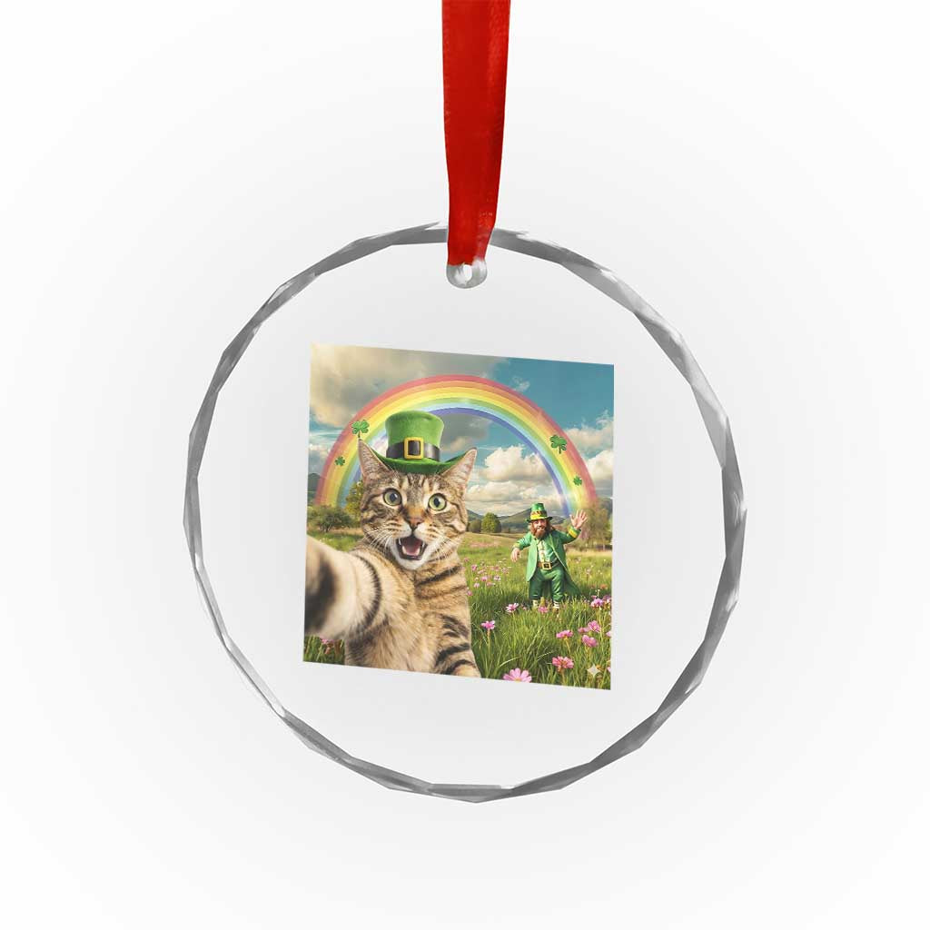 St Patricks Day Cat Selfie with Leprechaun Crystal Glass Ornament TS11 Print Your Wear