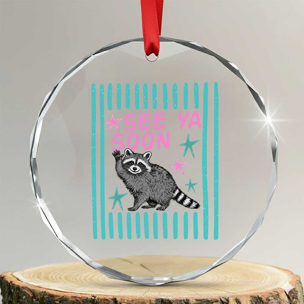 Striped Funny See Ya Soon Racoon Crystal Glass Ornament Last Day Of School Teacher TS14 Transparent Glass 3'' Circle Print Your Wear
