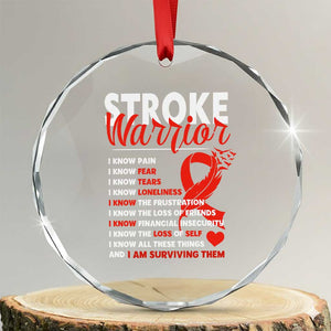 Stroke Warrior Crystal Glass Ornament I Know Pain Fear Feather Red Ribbon TS11 Transparent Glass 3'' Circle Print Your Wear