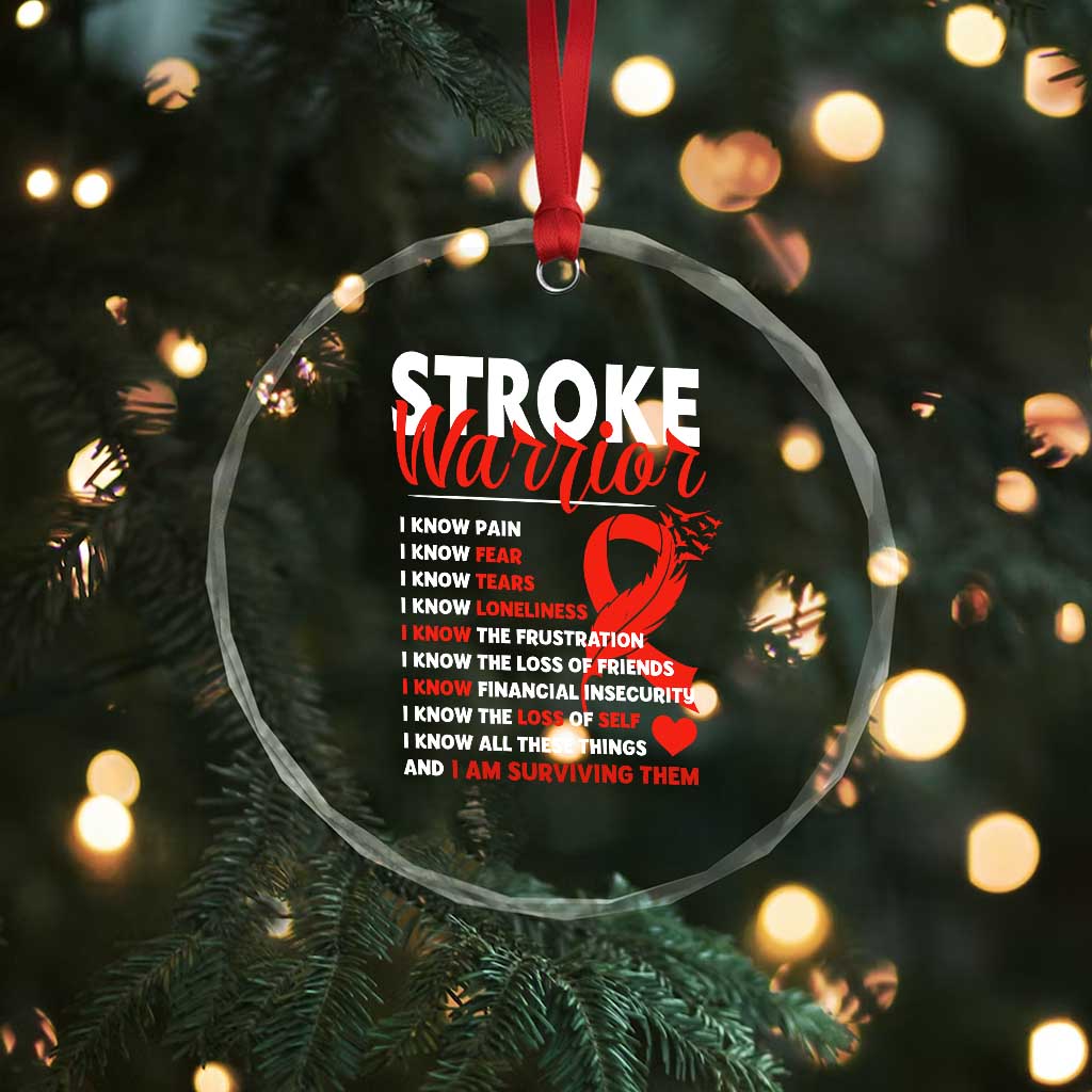 Stroke Warrior Crystal Glass Ornament I Know Pain Fear Feather Red Ribbon TS11 Print Your Wear
